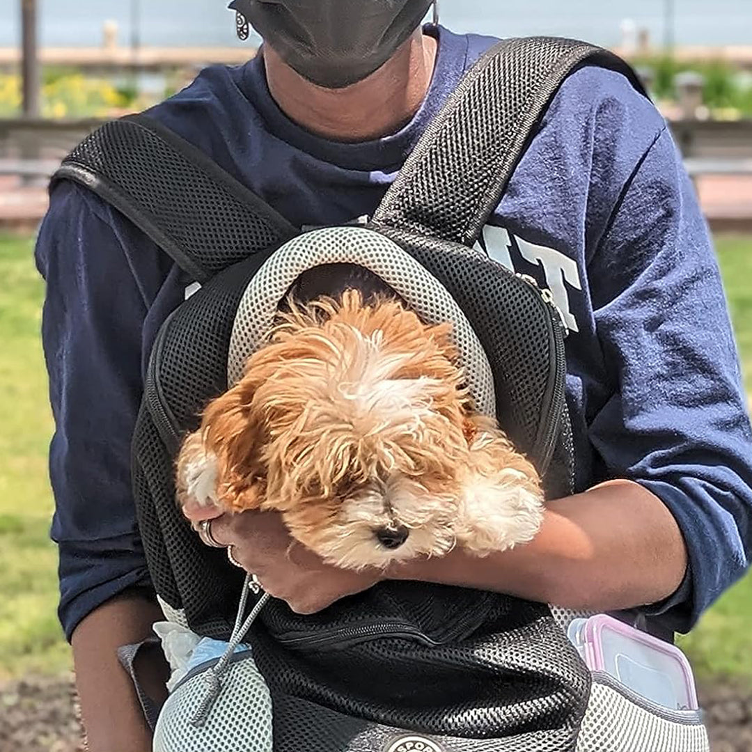 Dog Backpack